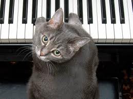 Read more about the article Music was my first love …